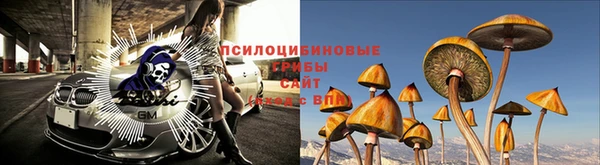 мдма Карпинск