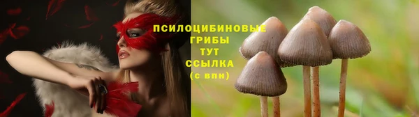 2c-b Касимов