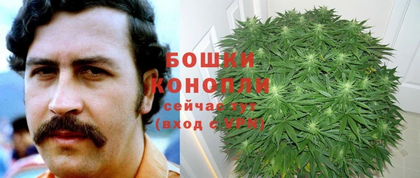 мдпв Чердынь