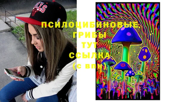 амф Чекалин