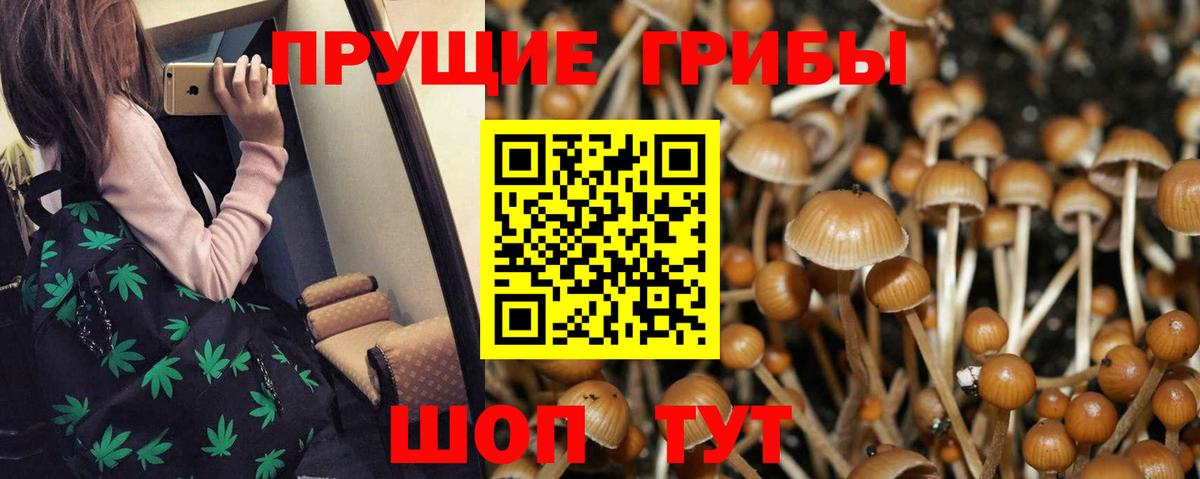 Псилоцибиновые грибы ЛСД Черемхово