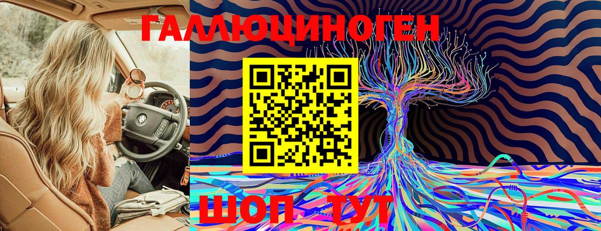 Черемхово  Галлюциногенные грибы Cubensis  Вход с VPN 