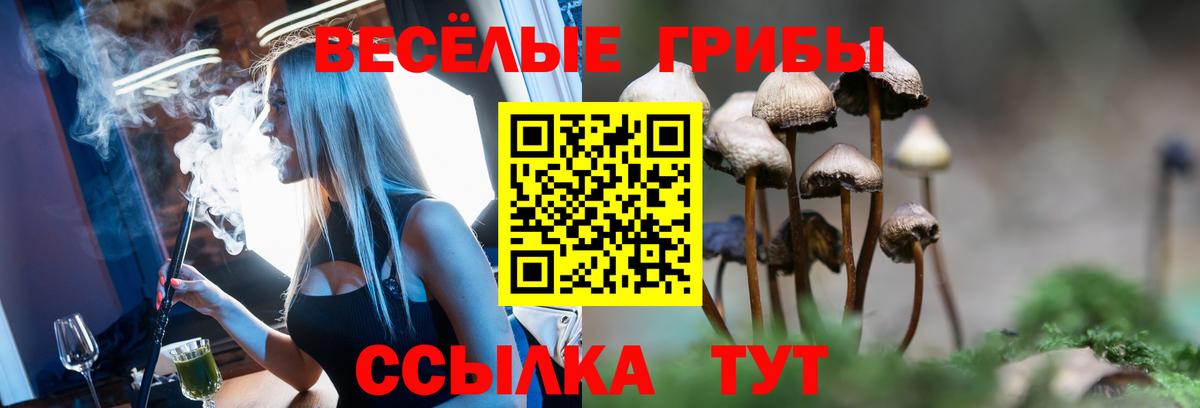 Черемхово  Галлюциногенные грибы GOLDEN TEACHER  даркнет сайт  Вход с VPN 